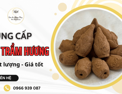 Nụ trầm hương là gì? Công dụng, cách dùng hiệu quả và địa chỉ mua uy tín