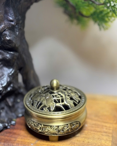 Nụ Trầm Bách Xanh  