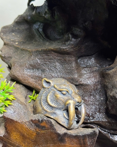 Hổ răng kiếm may mắn 