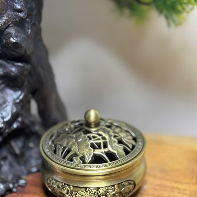 Nụ Trầm Bách Xanh 