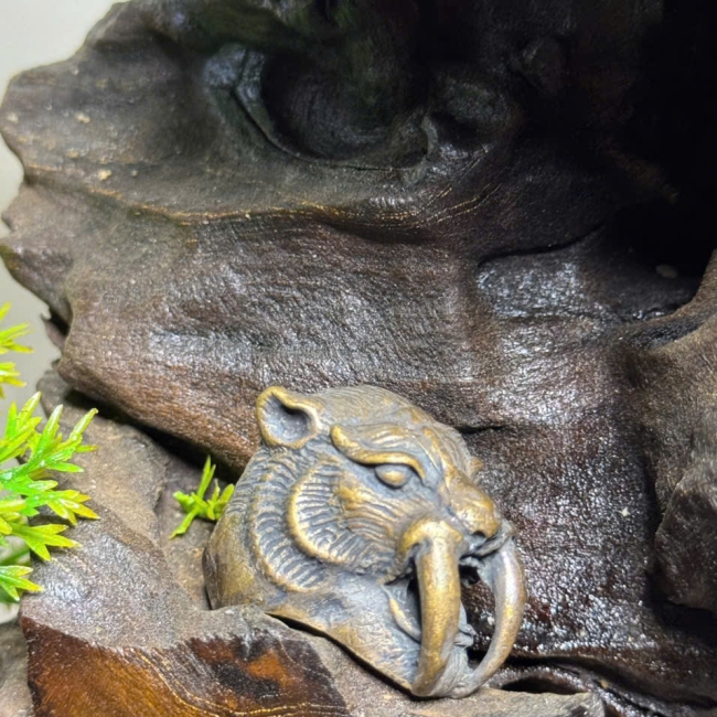 Hổ răng kiếm may mắn