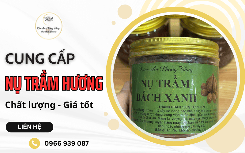 nụ trầm hương