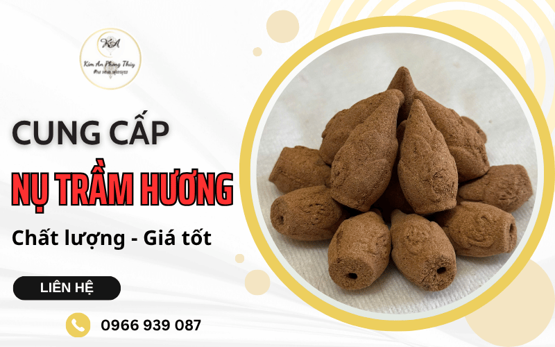nụ trầm hương